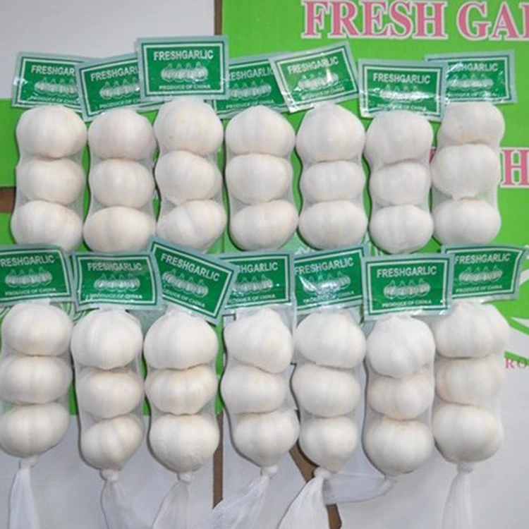 Kini idi ti ata ilẹ Alabapade Ere jẹ yiyan Ti ayanfẹ fun Awọn olura Didara?