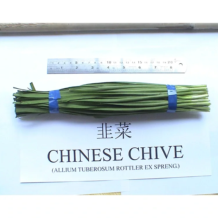 Kini idi ti Awọn Chives Kannada Titun Ti Ilẹ-oko Ṣe Lo Gidigidi ni Ounjẹ Asia?