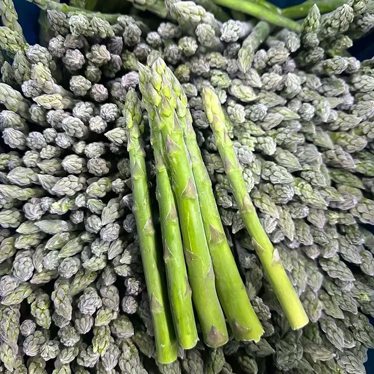Asparagus alawọ ewe tio tutunini ti a yan fun Iṣẹ Ounjẹ Dẹede ati Ipese Eroja
