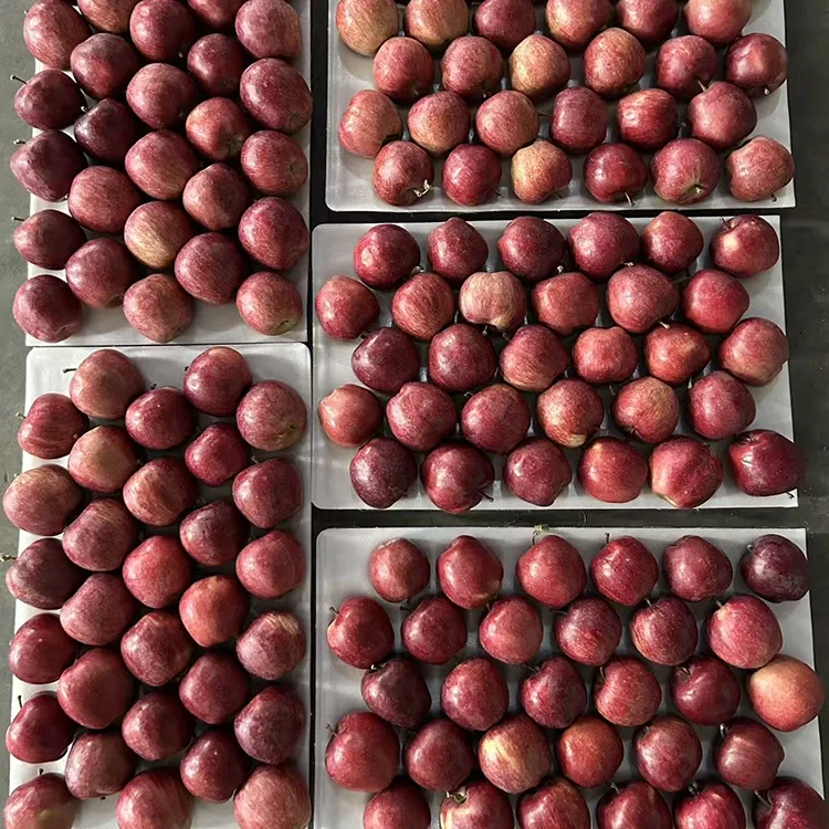 Imọlẹ Red Star Apples