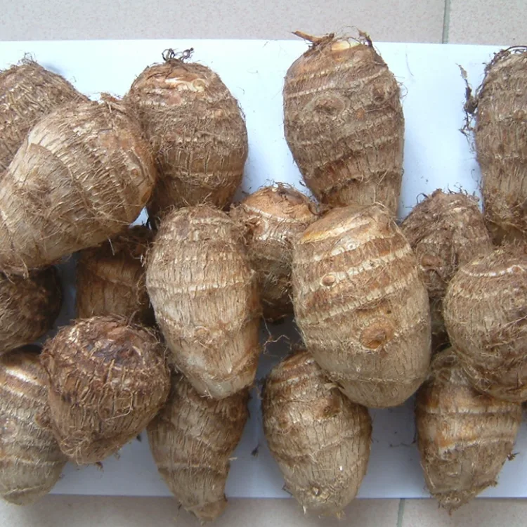 Aaye Alabapade Taro
