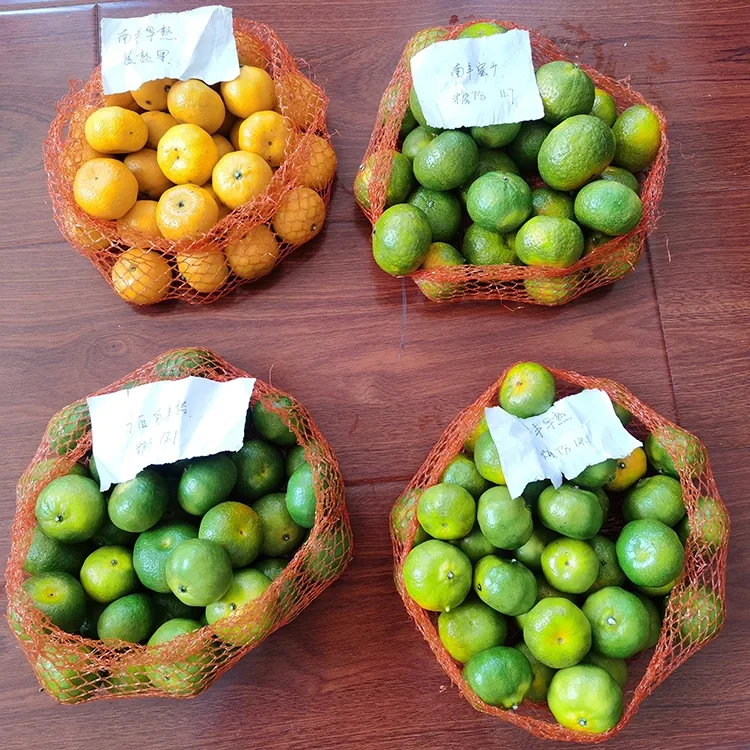 Alabapade Honey Mandarin
