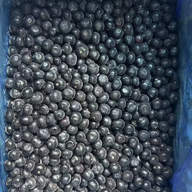 Frozen mirtili Ere IQF blueberries