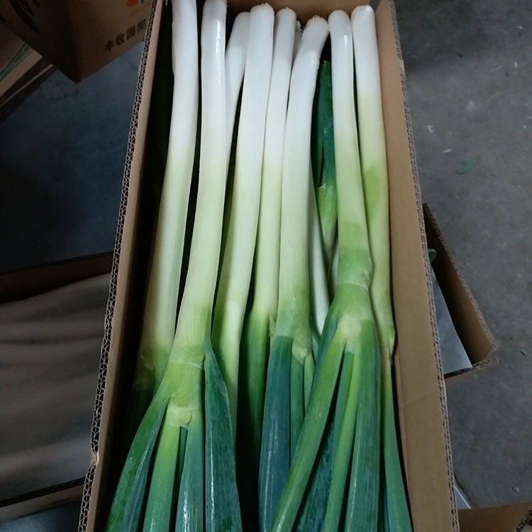 Nipa ti po Green alubosa