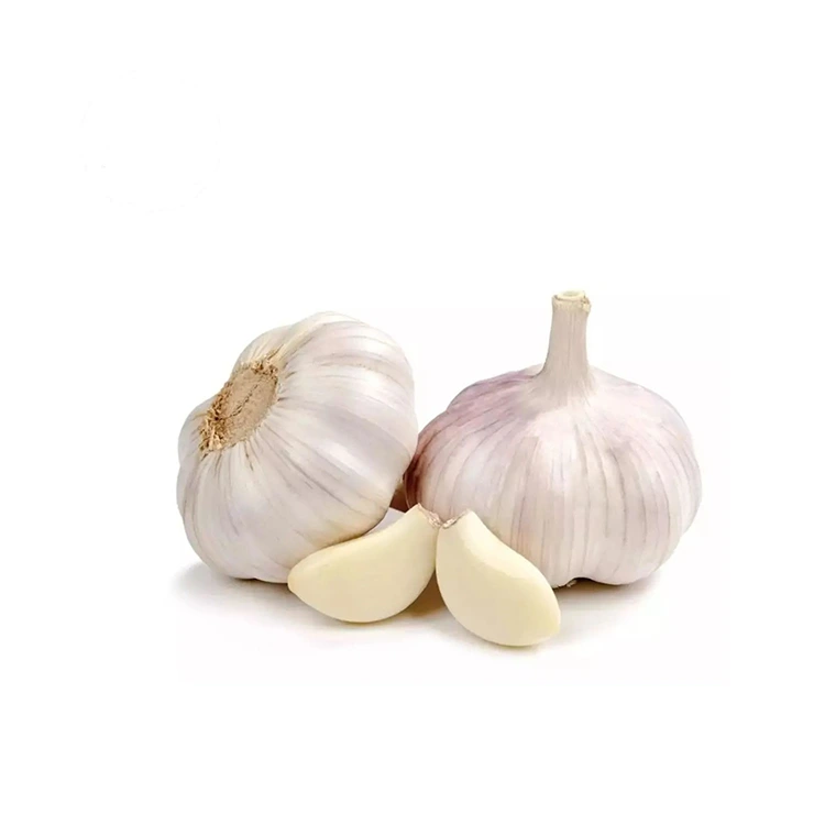 Ere Firm ati Plump Deede White Ata ilẹ