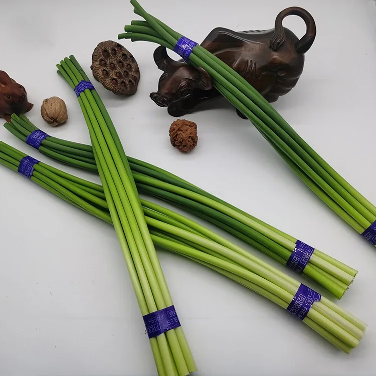 Ere Alabapade ata ilẹ Scapes