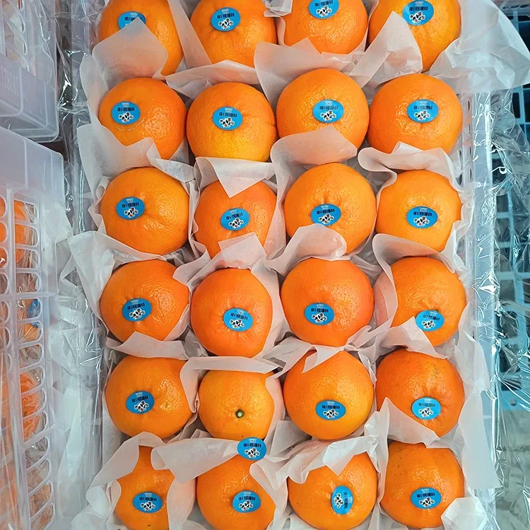 Ere Alabapade Dun Wogan Mandarins