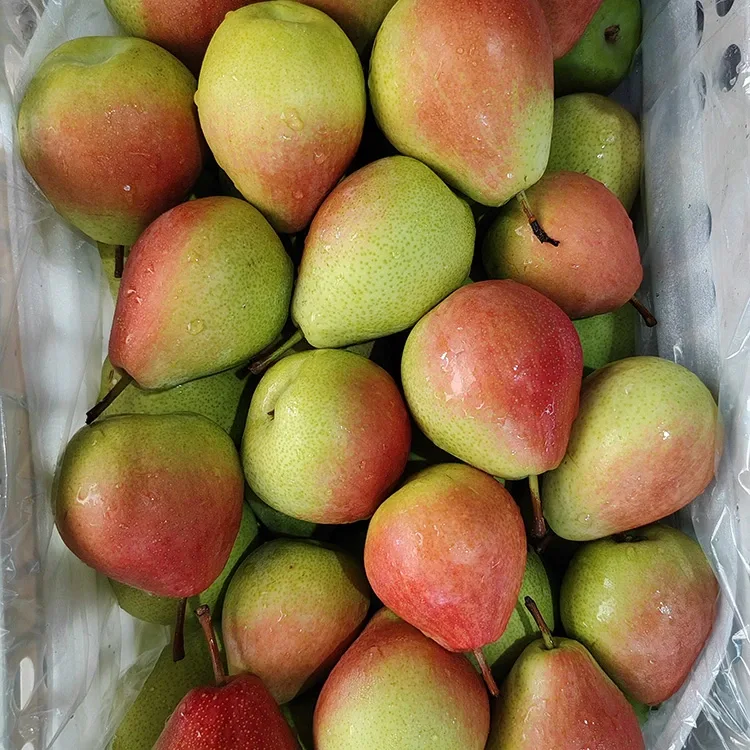 Ere Ọwọ Ti gbe Oju-mimu didan-pupa Keje Red Pear