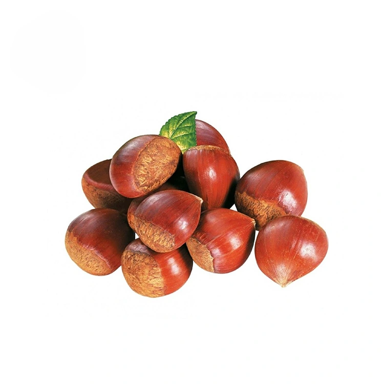Ere Didara Chestnuts