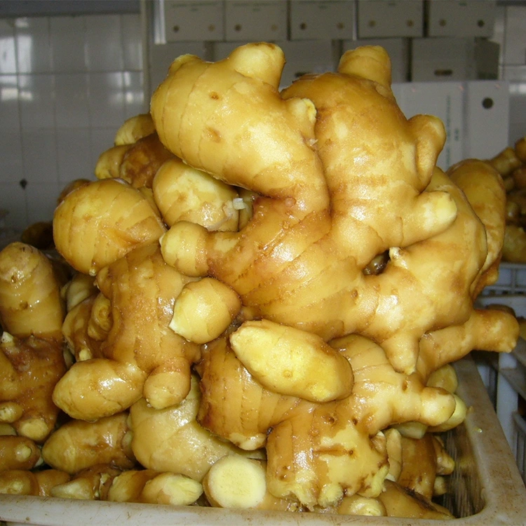 Lata Alabapade aromatic Atalẹ