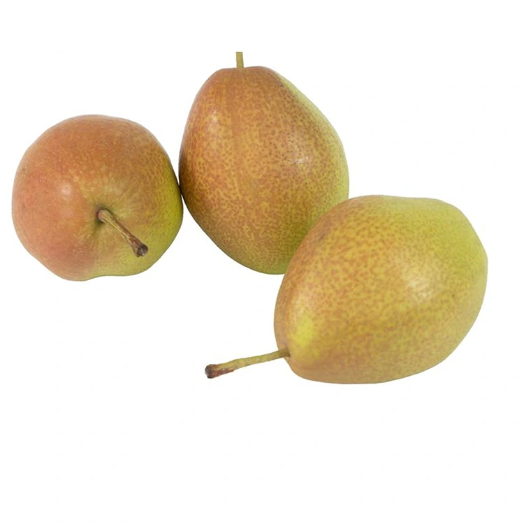 Didara Alabapade Hongxiangsu Pears