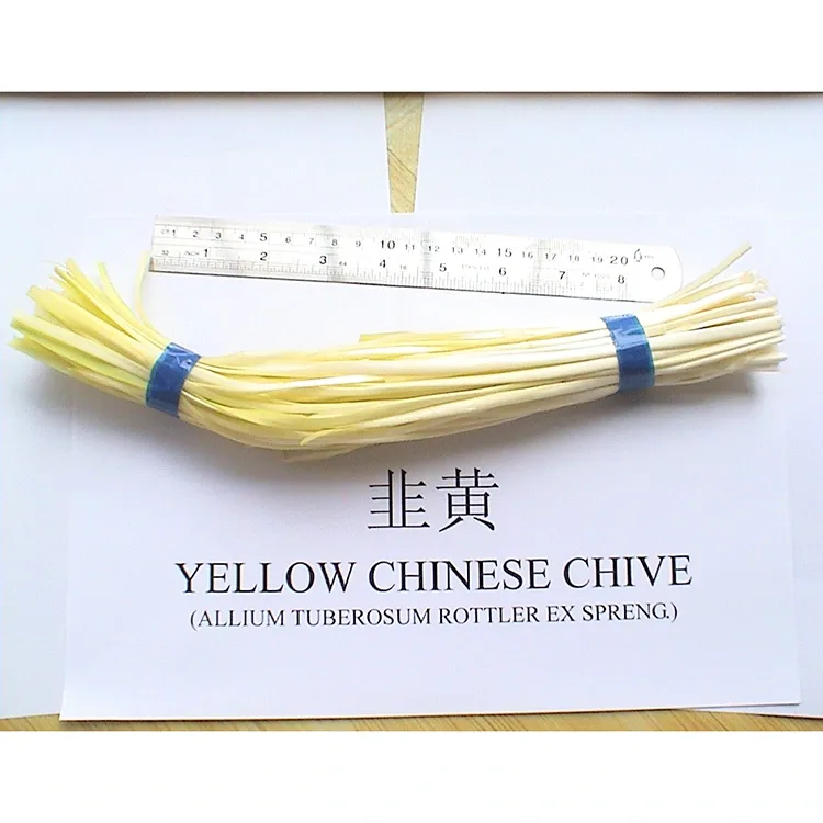Eso Eso Yellow tutu